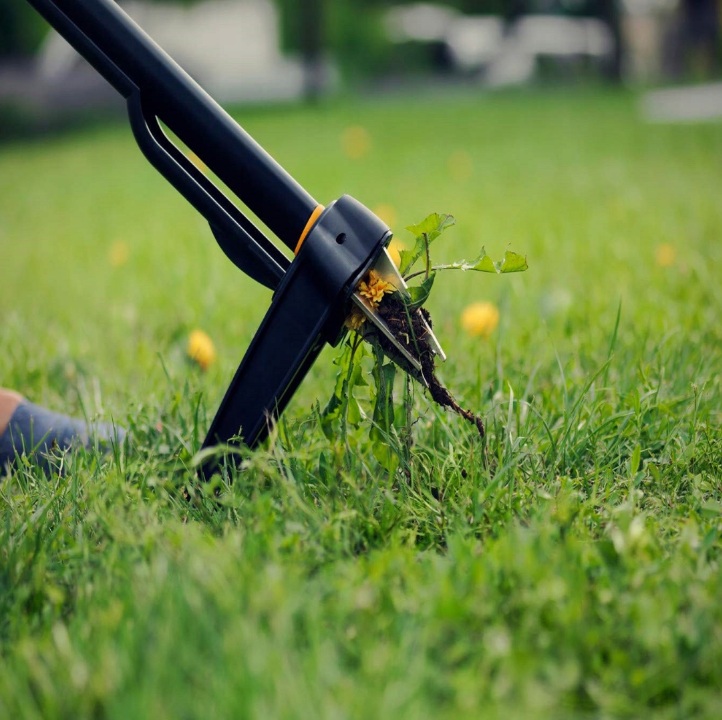 Wyrywacz do chwastów FISKARS Xact™ - obrazek 2